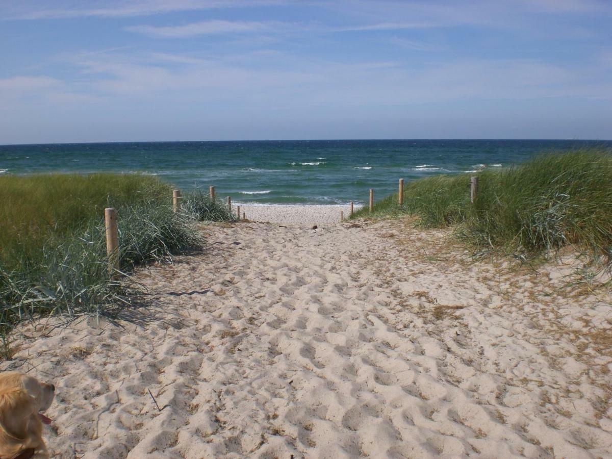 And Mehr Zingst