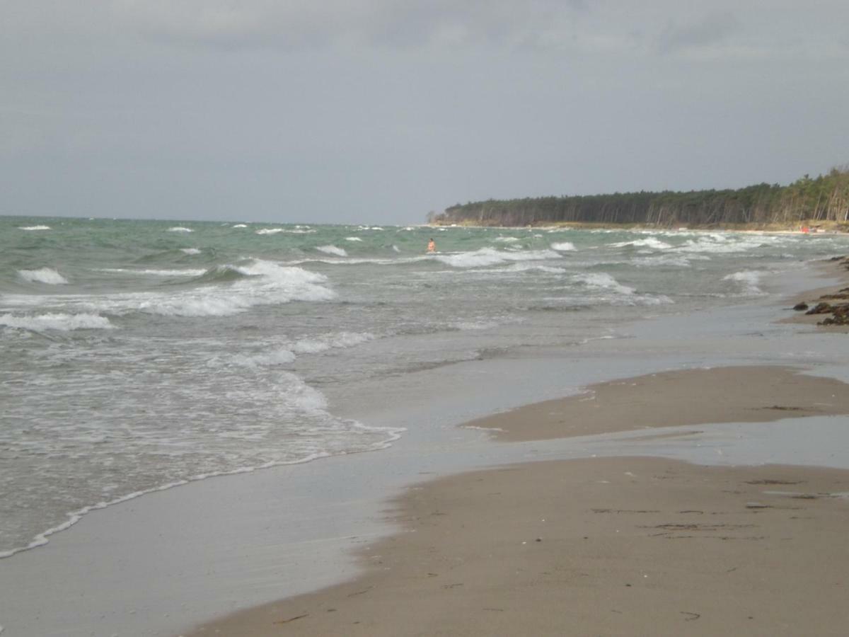Appartement And Mehr Zingst